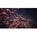 Devil May Cry 5. Special Edition [Русские субтитры] PS5