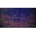 Skautfold: Shrouded in Sanity [английская версия] PS5